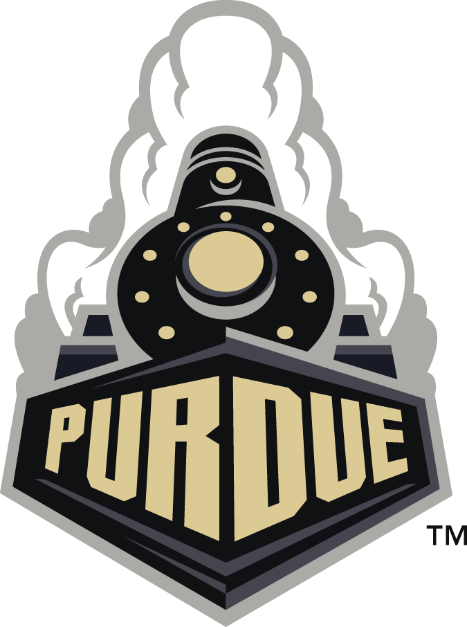 Purdue Boilermakers 2012-Pres Alternate Logo v2 diy DTF decal sticker